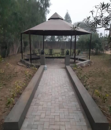 Development & Handover Status
